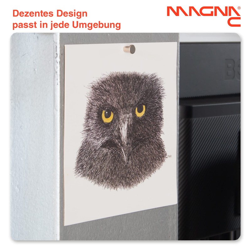 Magna-C® Pack of 8 Ultra Strong Notice Board Magnets with