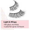 2 pack bundle - Eylure 117 pre glued lashes