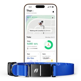 Fi Series 3+ Smart Dog Collar - GPS Dog Tracker and Activity & Fitness Monitor, Waterproof, LED Light, Escape Alerts, Nationwide Coverage [Free 6 Month Membership] (Blue, Large)