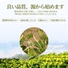 Heixi Gold and Silver Flower Tea 2.8 oz (80 g)