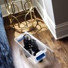 HOMZ 4-Pack Holiday Tote, Plastic Storage Organizer Bins with Lids,