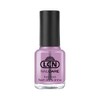 LCN Top Coat Flash Dry and Shine 8 ml