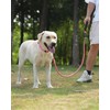 Joytale Rope Dog Leash 5/6 FT with Convenient Poop Bag