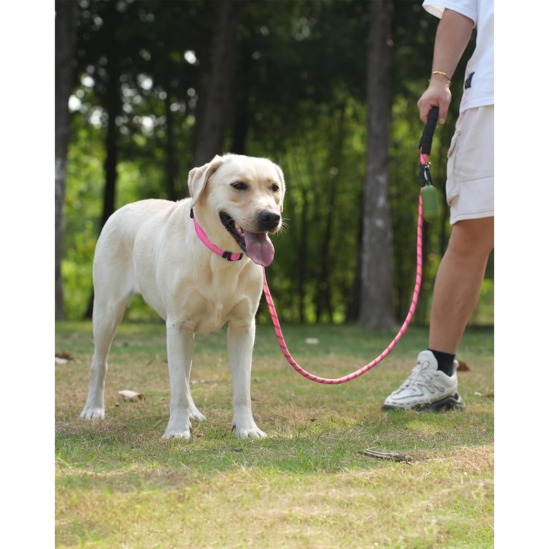 Joytale Rope Dog Leash 5/6 FT with Convenient Poop Bag
