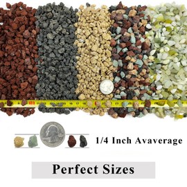 FANTIAN 5 lbs Succulent Cactus Soil Potting Mix,1/4 inch Pumice Pebbles Mix Horticultural Lava Rock for Indoor Plants, Bonsai, Orchid