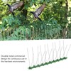 12Pcs Stainless Steel Bird Deterrent Spikes 25cm Anti Cat Crawling