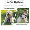 Petmolico No Pull Dog Harness Set with Leash Attachment Easy