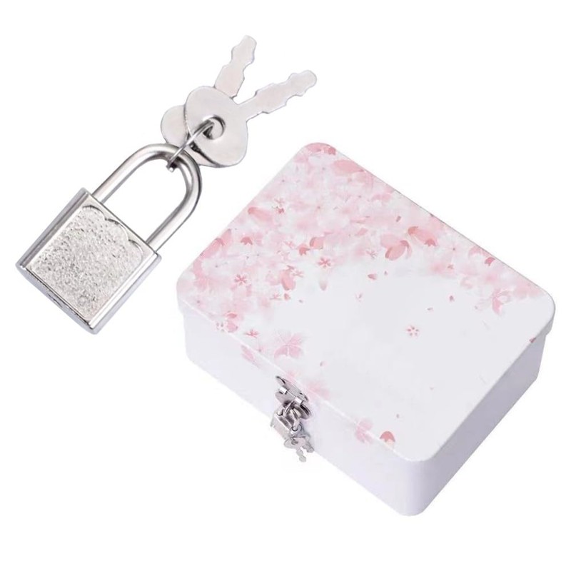 10pcs Mini Luggage Locks Small Padlock with Keys Diary Padlock