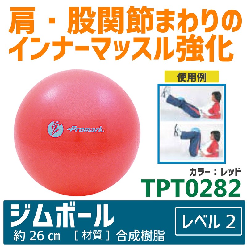 サクライ(SAKURAI) プロマーク ジムボール レベル2 立花龍司監修 TPT0282 直径 26cm