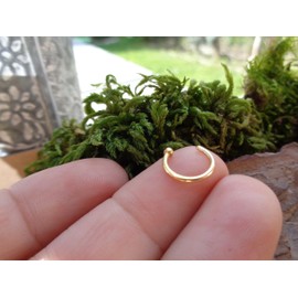 ⊹⊱❁ TITAN GOLD Fake Lippenring - Nasenring aus Chirurgenstahl in goldfarben ❁⊰⊹unechtes Ring Piercing, goldfarben 8mm, kein Loch notwendig