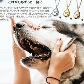 Cremation Pendant Cremation Pendant Stainless Steel Waterproof Pet Loss Cremation Capsule Cremation Capsule Cremation Urn Keychain Cremation Accessory Pet Bone Urn Necklace Keepsake Jewelry