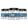 Earthborn Elements Methylsulfonylmethane (MSM) 200 Capsules, Non-GMO, Easy-to-Take Caps