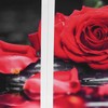 5Pcs Wall Art Painting Set Romantic Red Rose Frameless Painting