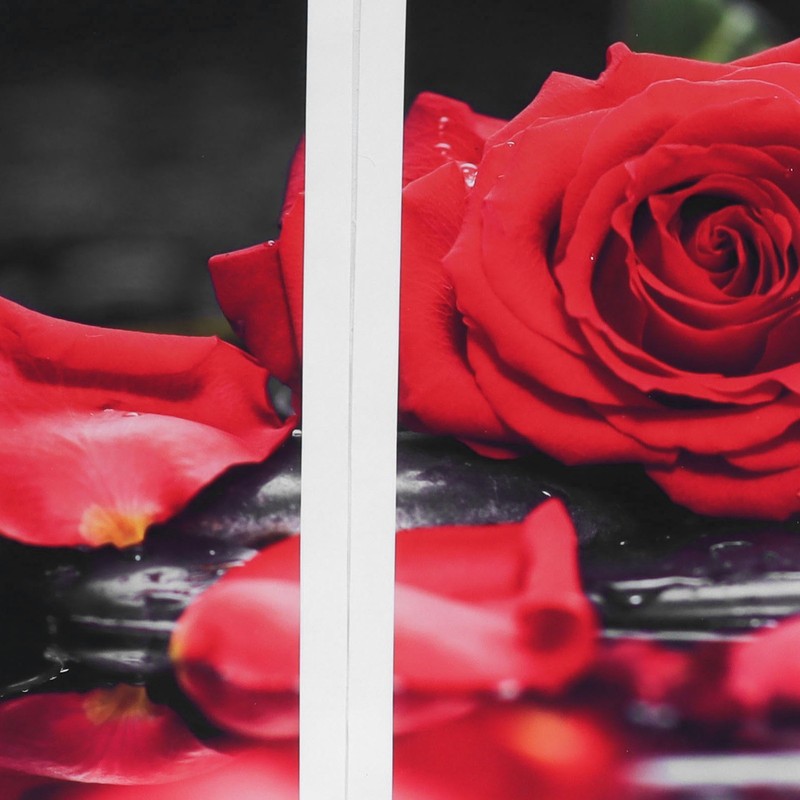 5Pcs Wall Art Painting Set Romantic Red Rose Frameless Painting