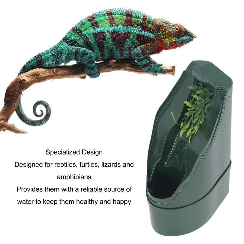Fuente para Beber Rosvola para Reptiles, Tortugas, Lagartos y Anfibios