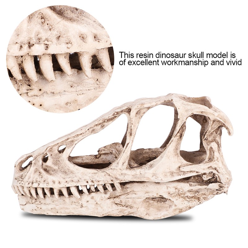 Resin Dinosaur Skull Model Simulated Animal Skeleton Home Office Decor