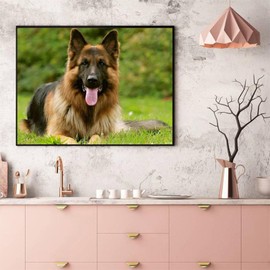 QAZWSX Diamond Painting German Shepherd Kit for Adults Full Drill Diamond Art Painting by Number Kits Gem Art Wall Home Decor 12 x16 inch