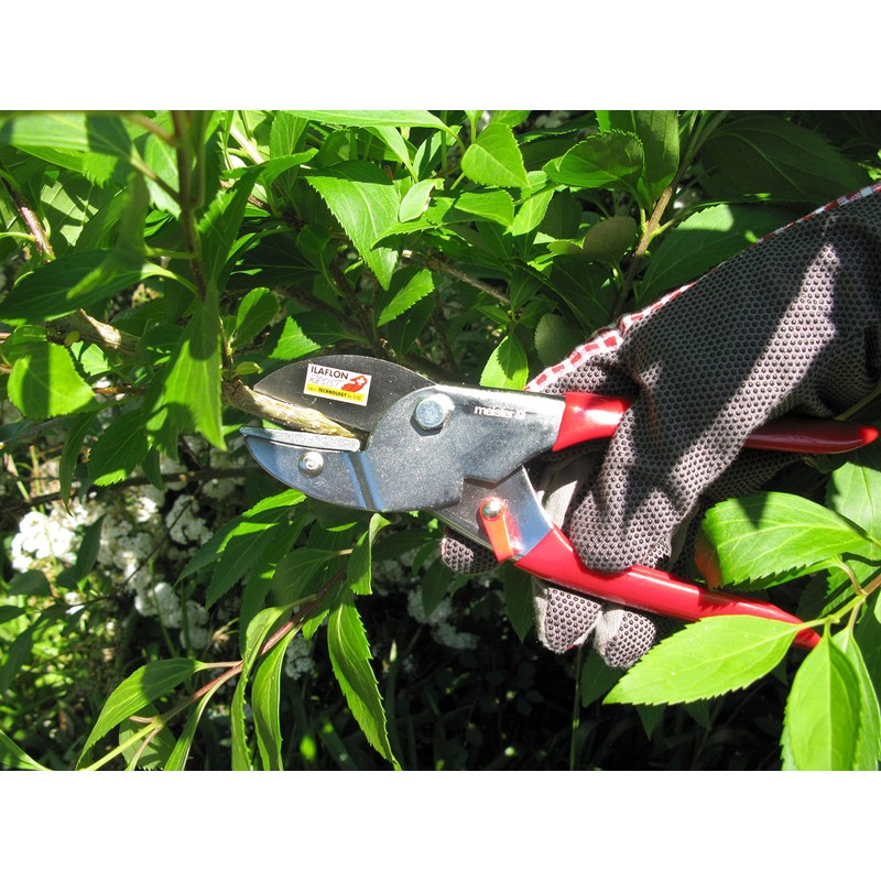 Meister Garden Shears with Anvil Blade - Suitable for Dry