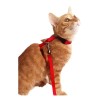 Pechera Con Correa Para Gatos Y Perros Chicos