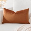 Artscope Luxury Velvet Cushion Covers Super Soft Decorative Throw Pillow