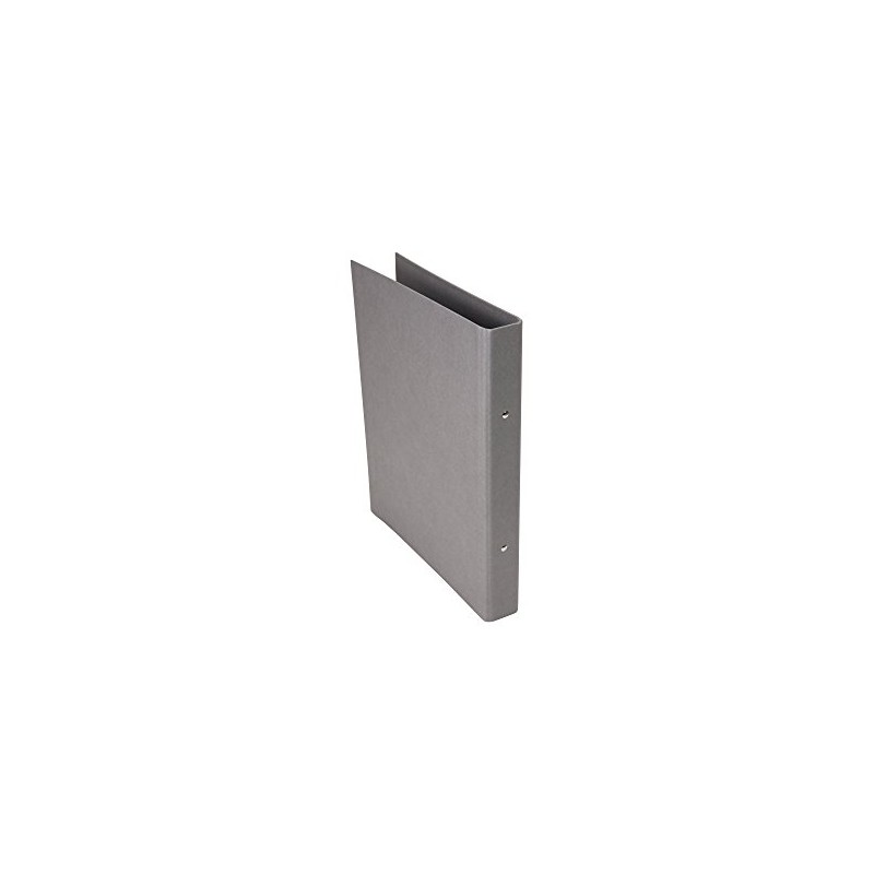 Bigso Box of Sweden Binder, Fiber Board, Grey, 25 x