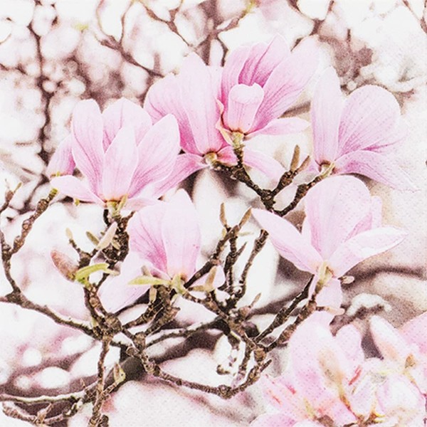 20 Small Cocktail Napkins Blossoming Pink Magnolia Spring Spring Table