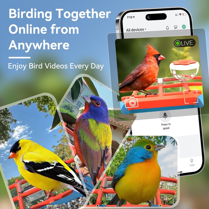 Rayki Solar Bird Feeder with Camera for Birdwatching, 2K HD