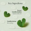 PURITO Seoul Wonder Releaf Centella Spot Parche, Coreano Centella, Para
