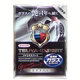 WILLSON 01253 Gloss Expert for Small Cars (All Painted Colors) Wax & Coating Produces More Than One Year Luster