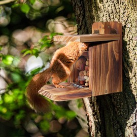 MIXXIDEA Wooden Squirrel Feeder Box, Sturdy Squirrel Feeding House with Thickness 1.5CM Wood, No Assembly Required, for Backyard Outside Garden (1 PCS)
