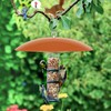 andergi 13" Hummingbird Feeder Shade Cover,Bird Feeders Dome Rain Cover,Squirrel