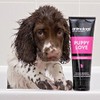 Animology Puppy Love Mild Dog Shampoo, Twin Pack, 250ml