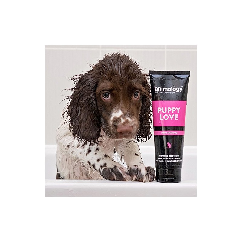 Animology Puppy Love Mild Dog Shampoo, Twin Pack, 250ml