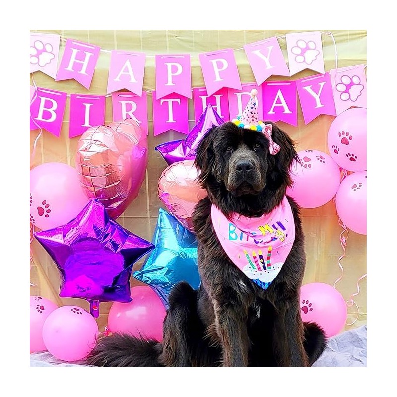 Suministros para Fiesta para Perro, Bandana de Cumpleaños para Perro,