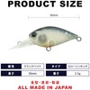LUCKY CRAFT Deep Krape Micro MAX SS Fishing Lure Crankbait