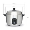 10 Cups Stainless Steel Cooker and Steamer