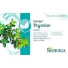 Sidroga Thymian Arzneitee bei Symptomen der Bronchitis, 20 pcs. Filter