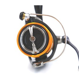 Daiwa 19 Ninja BG LT 3000 C Reel