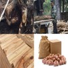 TooGet Natural Camphor Ball Fresh Cinnamomum Camphora Root for Clothes