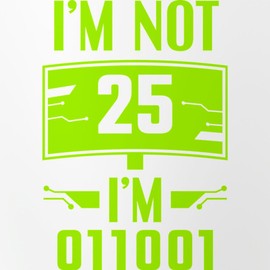 CafePress Cybersecurity Programmer Not 25Th B Pint Glass, 16 oz. Drinking Glass