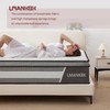 LMANKBK Queen Mattress,12 Inch Queen Size Mattress in a Box,Gel