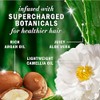 Herbal Essences Champú Con Aceite De Argán De Marruecos, Apto
