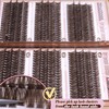Mavphnee Brown Lash Extensions D Curl Eyelash Extensions 480Pcs Volume