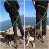 Hands Free Dog Lead. Double Ended Lead for Small Medium
