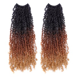Toyotress Yanky Twist Crochet Hair - 10 Inch 2 Packs (30 Strands/Pcs) Fluffy Spring Mini Twist Passion Twist, 3 Tones Ombre Brown Pre-Looped Crochet Braids Braiding Hair (10 Inch, OT30/27-2P)