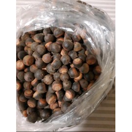 1/2 Pound  of Acorns For Crafts