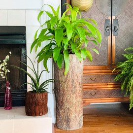 Country Corner Vintage Plant and Fern Stand. Unique Indoor Stump Planter and Flower Pot. Tall Rustic Indoor Cement Resin Flowerpot.