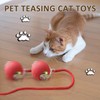 STFYUG Cat Toy Ball, Interactive Cat Toy, Cat Ball, 360°