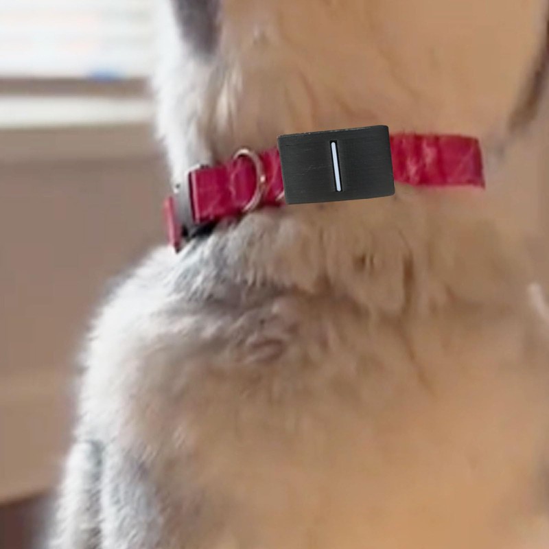 PIAOLGYI Mount for Fi Smart Dog Collar,GPS Tracker Dog Collar