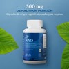 B-FIT B NAD - 500mg de Nicotinamida Adenina Dinucleótido por